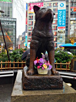 Le chien fidèle Hachiko, Shibuya basic-mars-2014