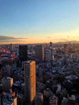 Vue de Tokyo et Fuji basic-mars-2014