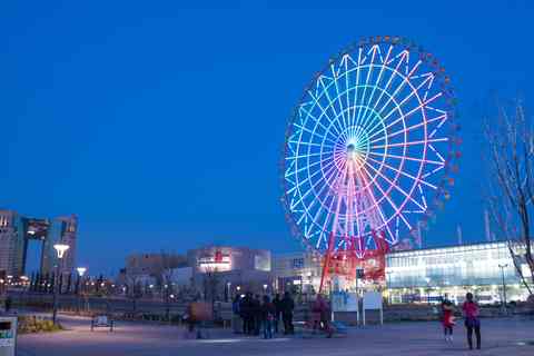Grande roue d’Odaiba à Tokyo