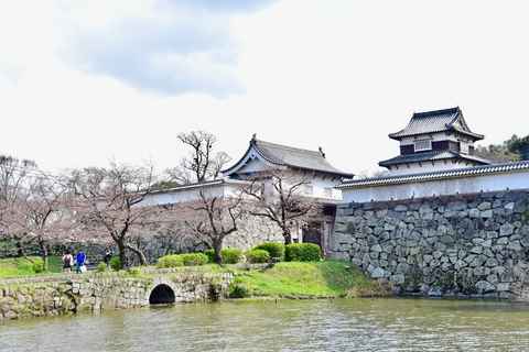 Ruines historiques du château de Fukuoka