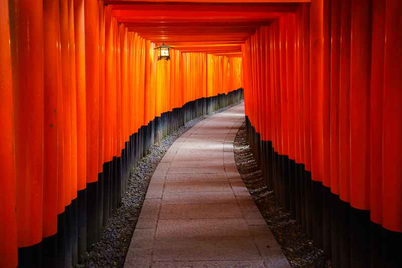 Suite de torii rouges au Japon