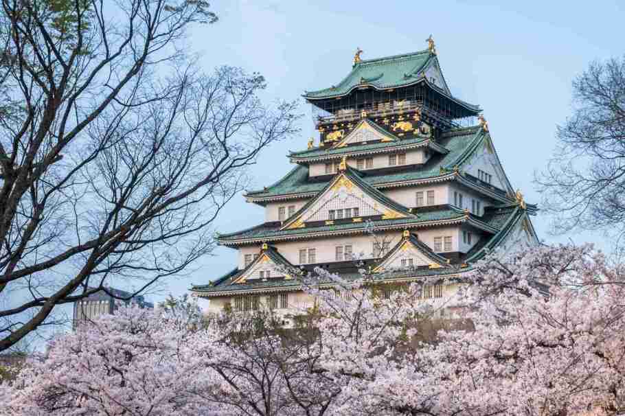 Château d’Osaka entouré de cerisiers